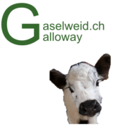 (c) Gaselweid.ch